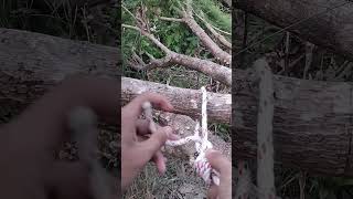 WAW..! How to Tie a Knot That Never Fails #howto #shorts #diy #craft #knot