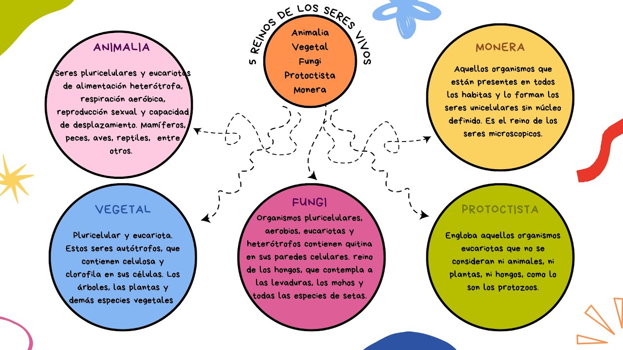 Mapa conceptual en CANVA. Tema: Los 5 reinos de los seres vivos.