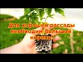 Для хорошего урожая необходим крепкий и большой корень!