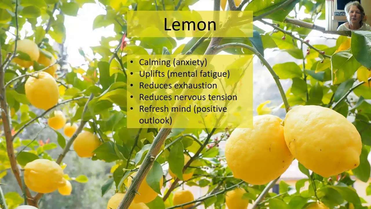 Emotional Oils Roller balls 1