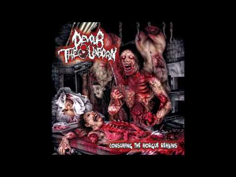 Consuming The Morgue Remains artwork