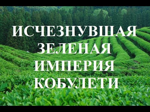 Исчезнувшая зеленая империя Кобулети ქობულეთი  Аджария Грузия ЧАЙ