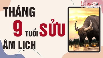 Tử Vi Tháng 9 Âm Lịch Năm 2022 Tuổi Sửu Tốt Hay Xấu Xem Ngay Đừng Bỏ Lỡ - Tử vi 12 con giáp
