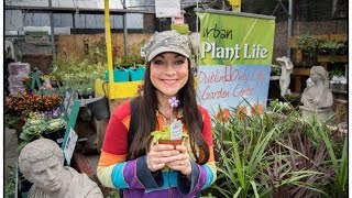 My AMAZING visit to Urban Plant Life Garden Centre, A Gardener's Oasis in  Dublin City