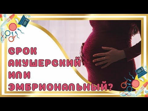 Акушерский или Эмбриональный срок?