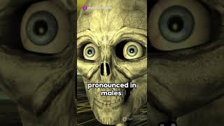 #Shorts Skeleton Secrets: Male vs Female