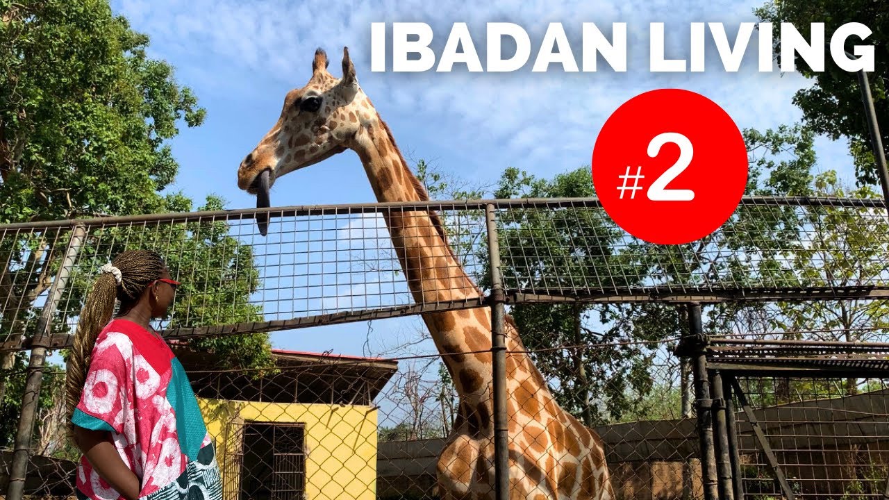 Жизнь в Ибадане №2: Экскурсия в зоопарк Университета Ибадана в 2023 году | Типичный день из моей ...