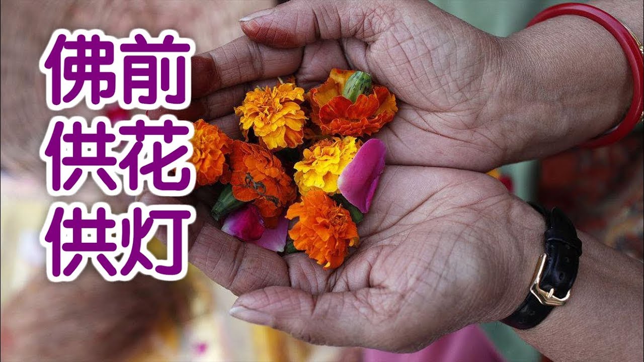 如何在佛前供花和供灯 Youtube