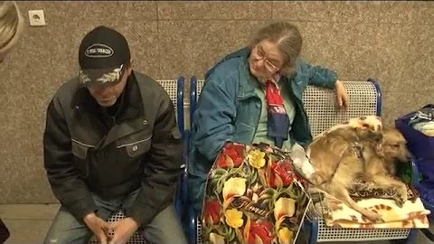 Kdo je dobrý makléř nemovitostí?