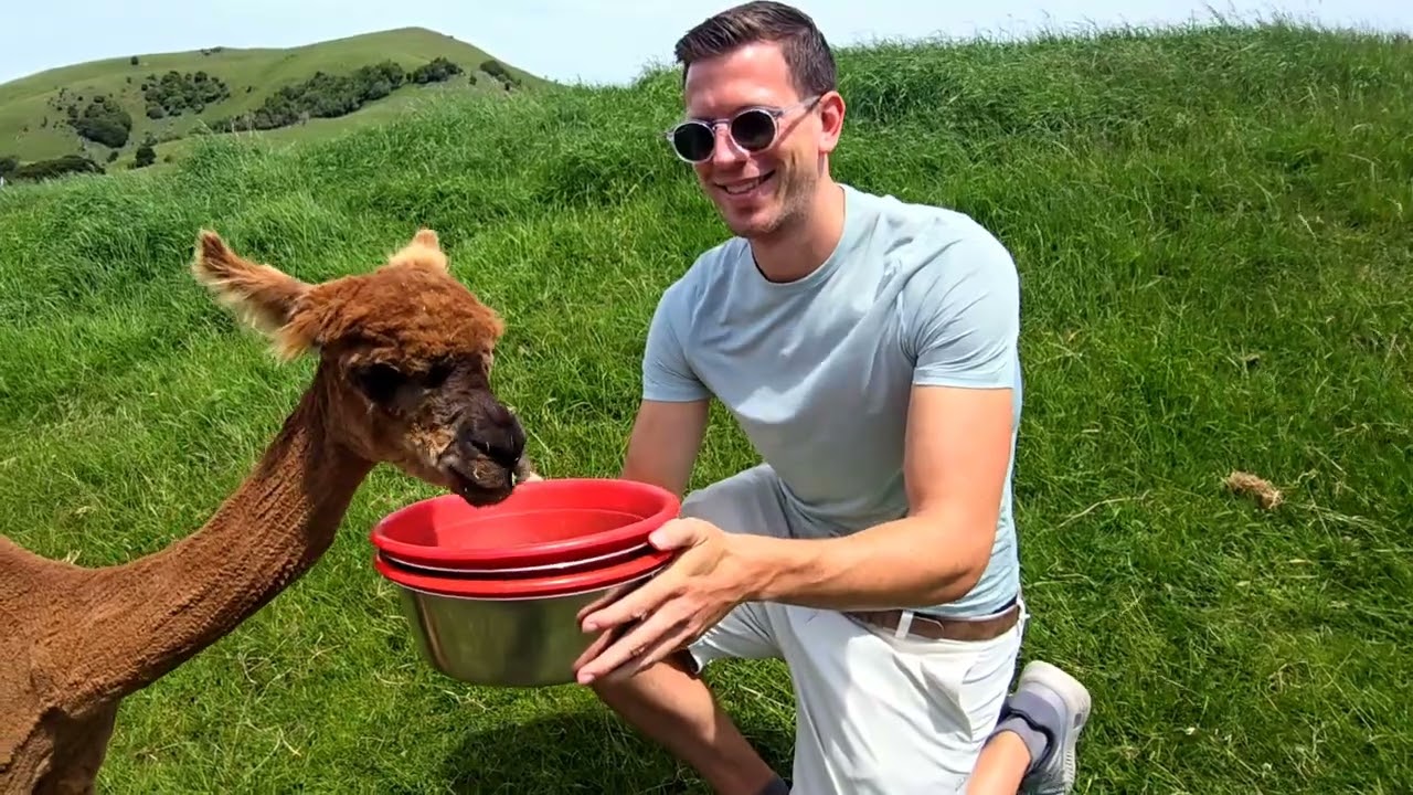 New Zealand - South Island