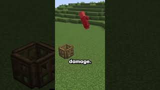 This Player Sonic Boomed The Server