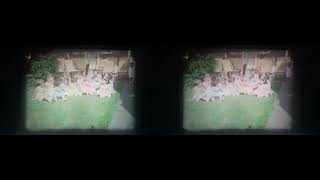 20090826 Childrens Party Games 1962 FULL 3D