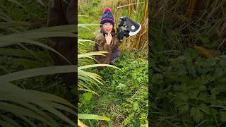 Extra close up macro photo by Jamie - Eagle Eyed Girl of a Common Darter Dragonfly (female) 📸