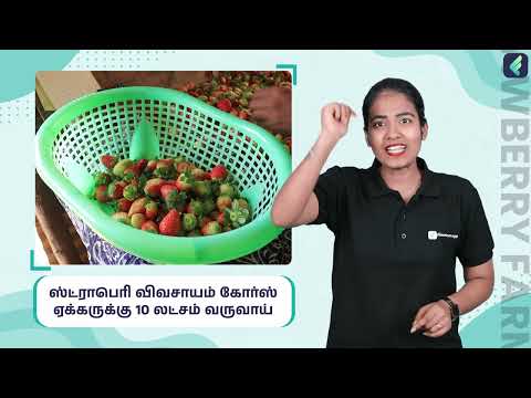 Strawberry Farming Course Trailer in Tamil | ffreedom app