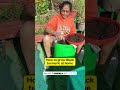 How to grow Black turmeric at home 🪴