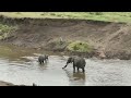 Studying collective animal behaviour with drones and computer vision