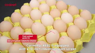 Xe02 Egg Machine 2 - Meter Conveyor Belt, Unleashing A New Era Of Efficiency And Precision