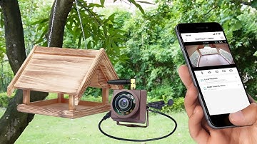 How to install a bird box camera to watch Bird Feeder