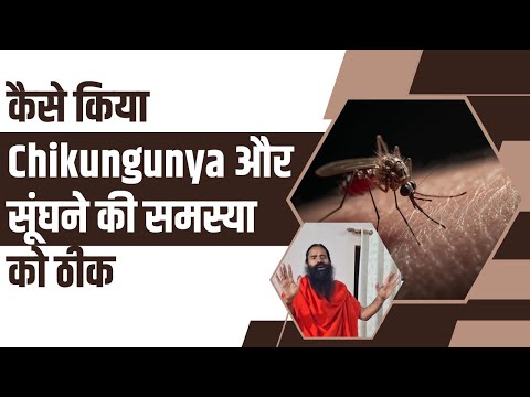 कैसे किया Chikungunya और सूंघने की समस्या को ठीक || Swami Ramdev