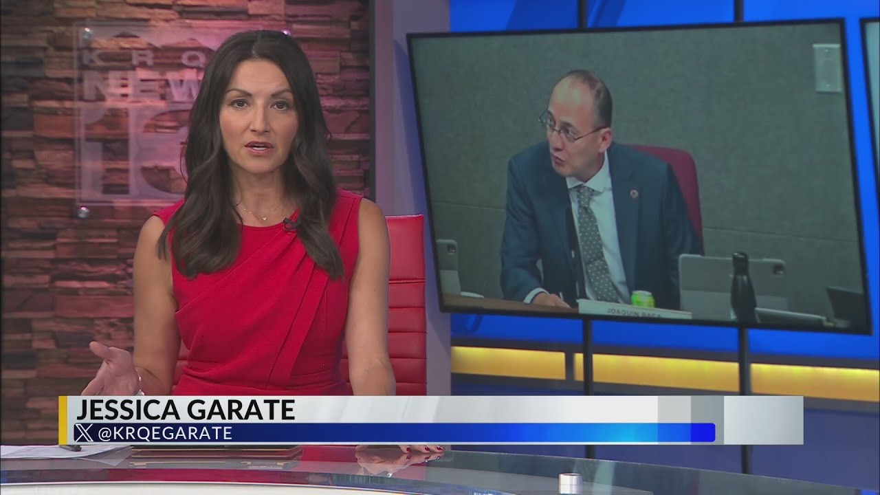 Albuquerque City Council fails to override veto on voting system change ...