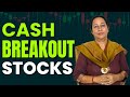 Stockpro  cash breakout stocks