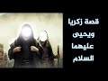 قصة زكريا ويحيى عليهما السلام الشيخ محمد بن علي الشنقيطي 