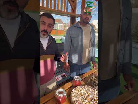 زراعة الزعفران المؤابي في الاردن