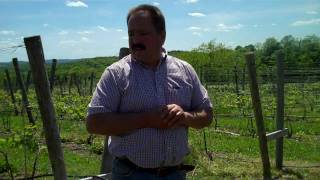 Millbrook Vineyard Walk