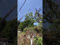 起こし吊切り