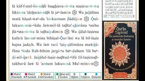 ختمة من مصحف التجويد باللغة الألمانية الصفحة رقم 431