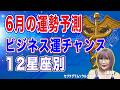 6月運勢予報12星座別ビジネスチャンスを手に入れよう【占星術】【周波数を上げる宇宙の法則】