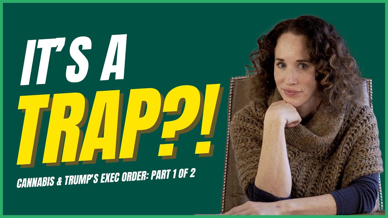 Исполнительный указ Трампа: спасательный круг или ловушка для конопли?