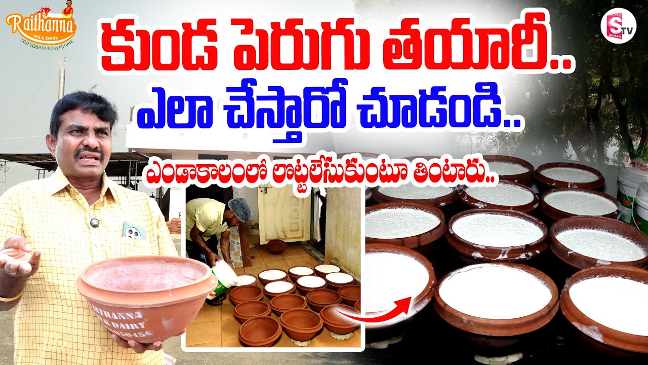 కుండ పెరుగు తయారీ..| Curd Making In Pot | Special Video | SumanTV Rythu