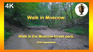 Walk in Moscow.  Walk in the city forest park. 🔶 Прогулка в московском лесопарке.