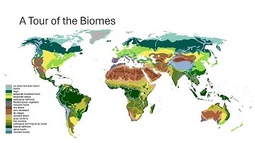 19.  Terrestrial Biomes Part 2