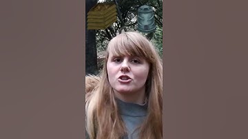 How Do You Make a Compost Heap (Setting Up Your Composting and Ingredients Used) | #Shorts