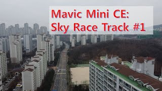 Mavic Mini CE: Sky Race Track #1