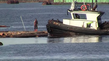 Log sorting in Crofton on Vancouver Island BC