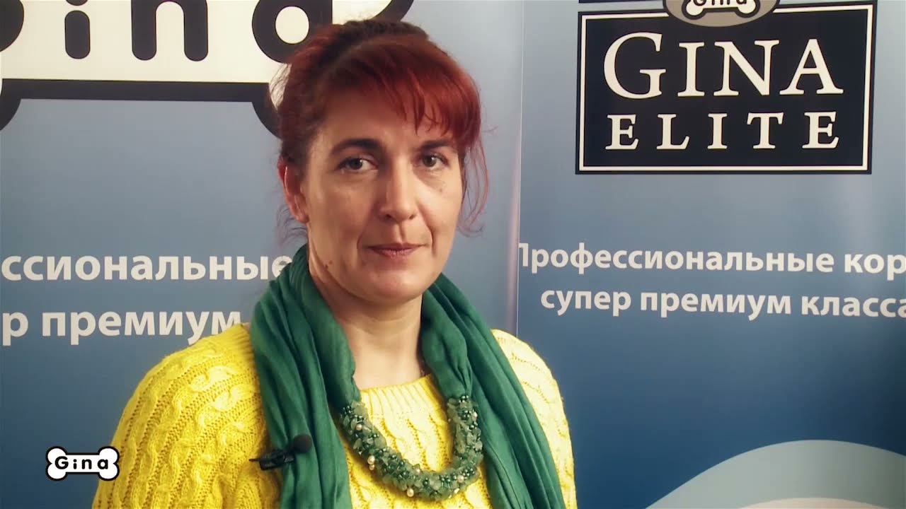 Классификация кормов для домашних животных Корма Gina и Gina Elite