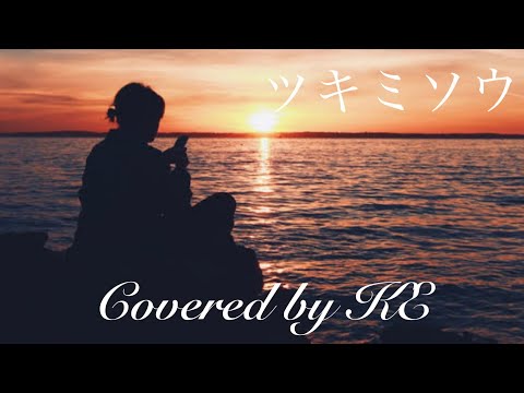 Novelbright/ツキミソウ/原曲キーで本気で歌ってハモってみた