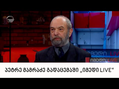 „მართვის სტრატეგიული ინსტიტუტის“ ხელმძღვანელი პეტრე მამრაძე გადაცემაში „იმედი LIVE“