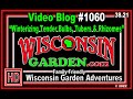 Winterizing tender bulbs tubers  rhizomes  wisconsin garden blog 1060