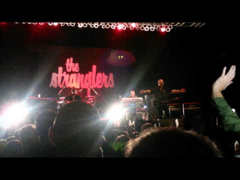 The Stranglers - All day and all of the night