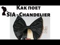 Как петь SIA - Chandelier ПойАктер