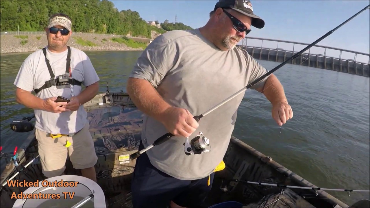 cat daddy fishing pole walmart