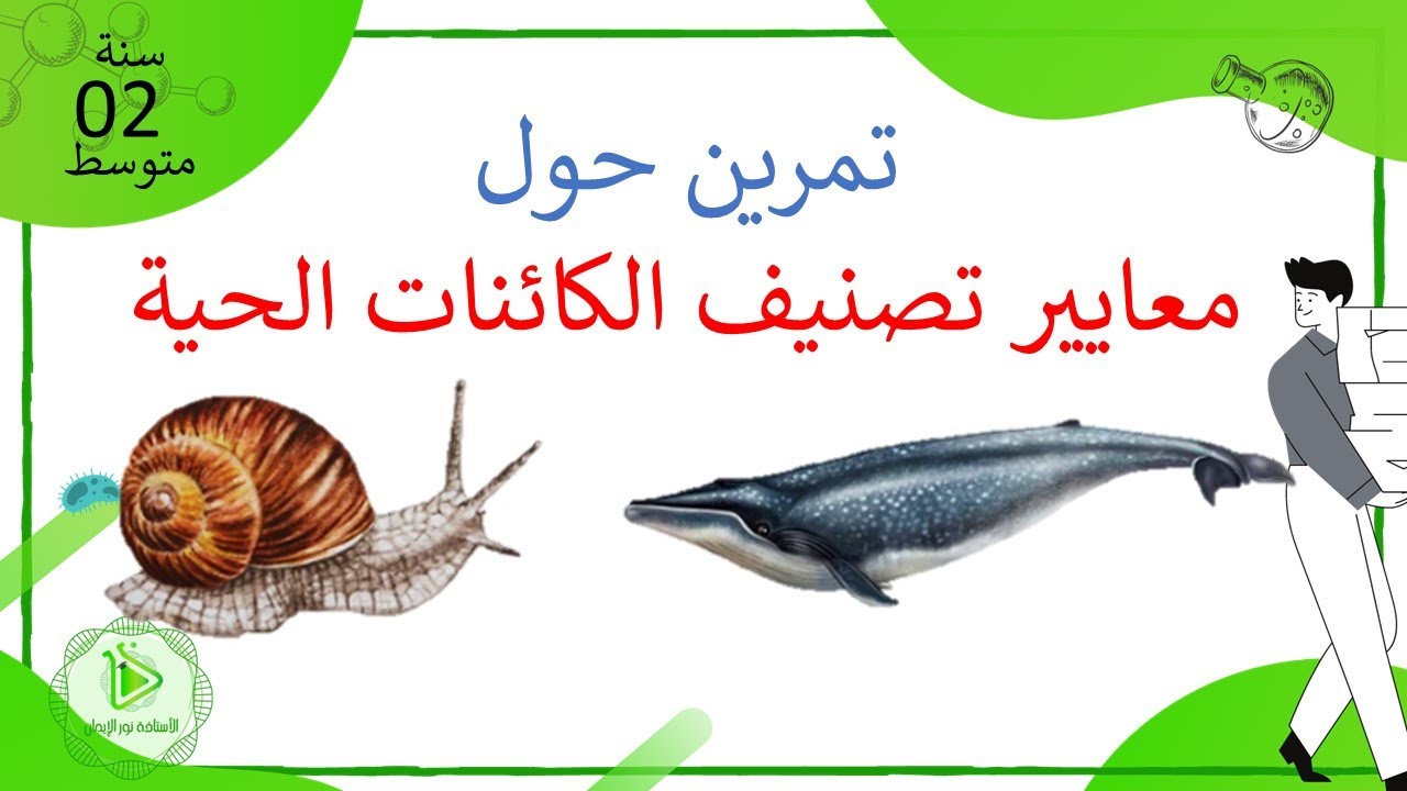 تمرين حول تصنيف الحوت الأزرق والحلزون علوم طبيعية سنة 02 متوسط