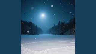 Winter Night