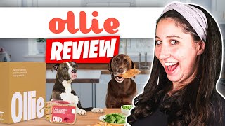 Ollie Pet Food Review (2024)