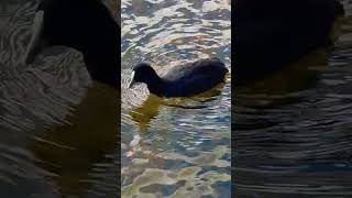 She Picked And Chose The Best.