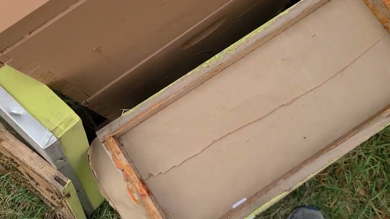 Easy way to late feed / emergency feed bee hives before winter - mountain camping a nuc hive